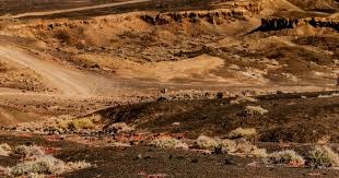 芝加哥小熊球星萨姆·索萨达成生涯 500 轰，成为多米尼加棒球的民族英雄