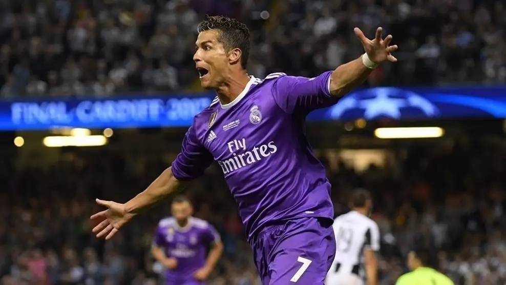 提供了有力 提供了有力